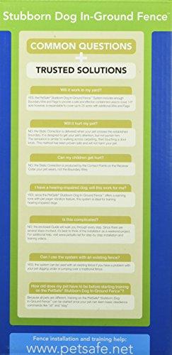 PetSafe Stubborn Dog Waterproof, with Tone, Vibration and Static Correction