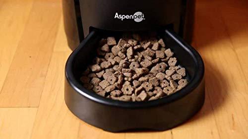 Aspen Pet Lebistro Programmable Cat and Dog Feeder 2 Sizes Black