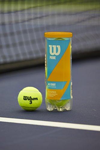 Wilson Prime All Court Tennis Ball 3 Ball Can