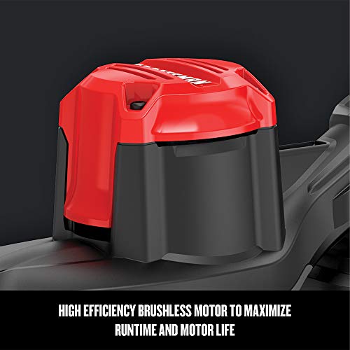 CRAFTSMAN V60 WEEDWACKER String Trimmer & Edger (CMCST960E1)