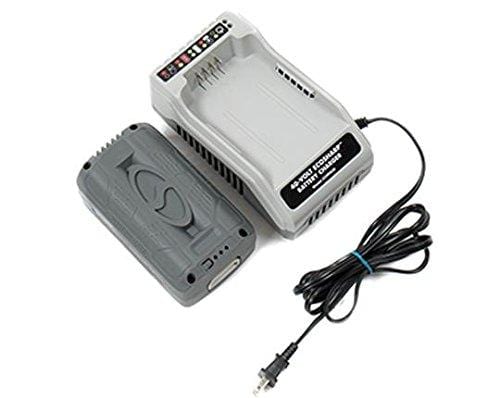 Snow Joe + Sun Joe iCHRG40 EcoSharp Lithium-Ion Battery Charger | 40 Volt - Ultra Pickleball