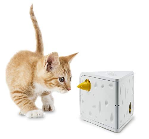 PetSafe Cheese Pet Toy