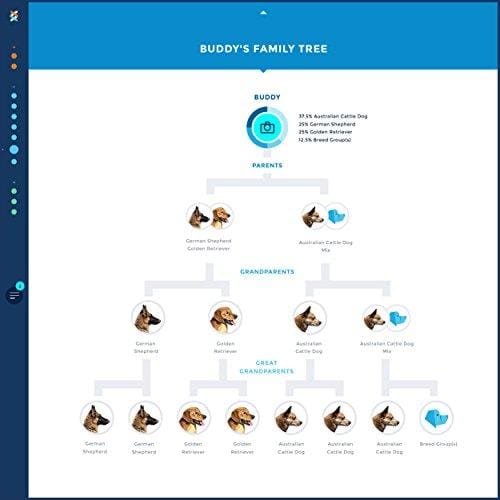 Wisdom Panel 3.0 Breed Identification DNA Test Kit Canine Genetic Ancestry Test Kit for Dogs