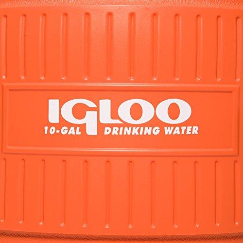 Igloo 10 Gallon Seat Top Beverage dispenser with spigot and Cup Dispenser [product _type] Igloo - Ultra Pickleball - The Pickleball Paddle MegaStore