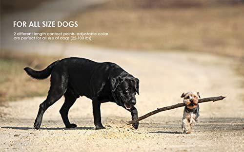 ieGeek Dog Training Collar for 2 Dogs - Rechargeable and Waterproof Shock Collar - 1960ft Blind Operation Remote Controlled Electric Collar with Tone/ Vibration/ Shock for Small/ Medium/ Large Dogs