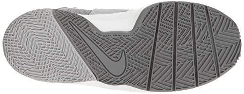 Nike Team Hustle D 8 (GS) Sneaker, Cool Wolf Grey-White, 3.5Y Regular US Big Kid