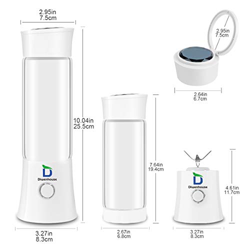 Diwenhouse Portable Blender USB Rechargeable Juicer Cup - Personal Size 16 oz Juice Glass Shakes Wireless Blue Including Metal Reusable Straws