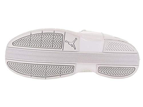 Jordan Air TE 2 Low White/Metallic Silver