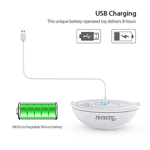 DADYPET Cat Laser Toy, 2 in 1 Automatic Non-Handheld Cat Chaser Toy and Interactive Feather Toy, Auto Rotating Light Cat Chaser Toy for Cats and Dogs