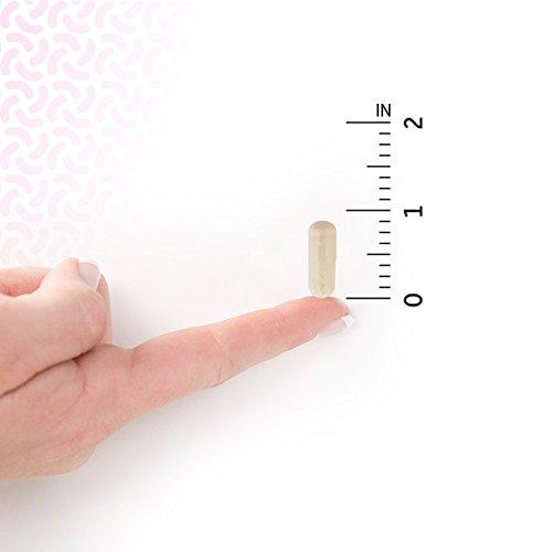 Garden of Life Dr. Formulated Probiotics for Women, Once Daily Women's Probiotics, 50 Billion CFU Guaranteed, 16 Strains, Shelf Stable, Gluten Dairy & Soy Free One a Day, Prebiotic Fiber, 30 Capsules