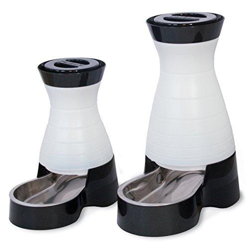 PetSafe Healthy Pet Gravity Dog and Cat Food Station, Stainless Steel Bowl, Holds 4 lbs of Dry Dog or Cat Food, Medium