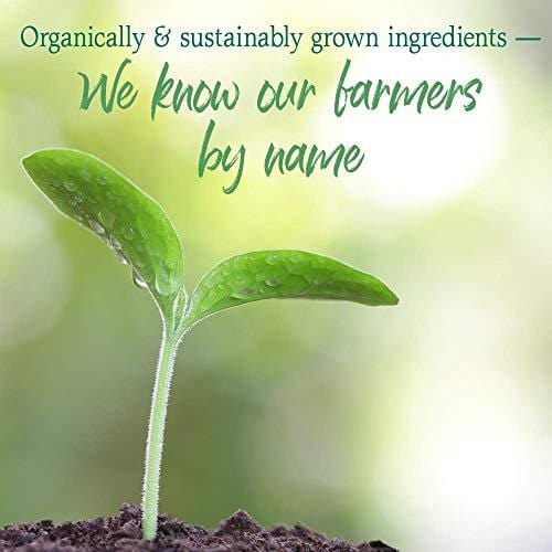 Garden of Life Raw Organic Perfect Food Energizer Juiced Green Superfood Greens Powder - Yerba Mate, Pomegranate, 30 Servings (Packaging May Vary) - Vegan Gluten Free Whole Food Dietary Supplement