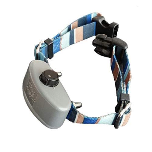 Invisible Fence Brand Collar Compatible, Rechargeable Battery, Two Batteries with Charger