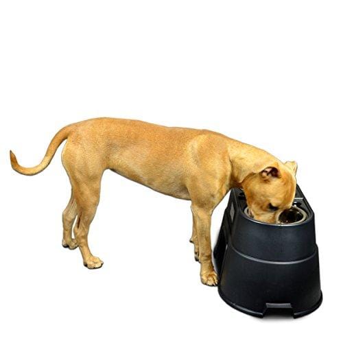OurPets Comfort Feeder Healthy Pet Diner Raised Dog Bowls Elevated Feeder Double Stainless Steel Bowls with Stand