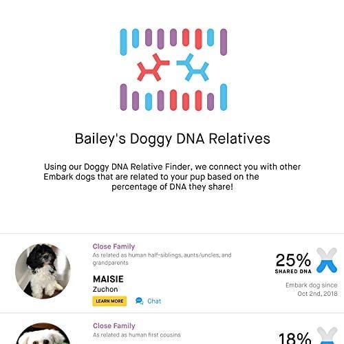 Embark | Dog DNA Test | Breed Identification | 160 Health Results | 200K Genetic Markers