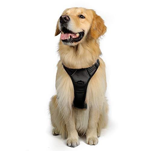 Rabbitgoo  Dog Harness No-Pull Pet Harness Adjustable Outdoor Pet Vest 3M Reflective Oxford Material Vest for Dogs Easy Control for Small Medium Large Dogs (Black, L)