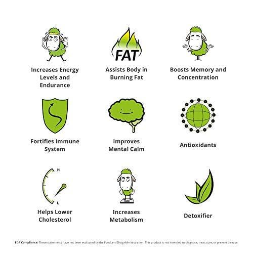 Baahtcha - USDA Organic Matcha Green Tea Powder - Premium Ceremonial Grade - Value Size Lowest Price - Natural Caffeine Energy Drink Mix, Antioxidant, Weight Loss, Fat Burner - 70g