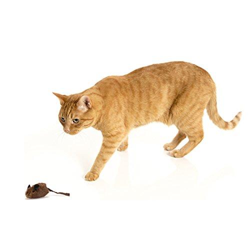 OurPets Play-N-Squeak MouseHunter Squeaking Interactive Cat Toy