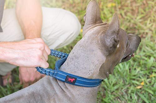 Heavy Duty Dog Collar With Handle | Ballistic Nylon Heavy Duty Collar | Padded Reflective Dog Collar With Adjustable Stainless Steel Hardware | Convenient Sizing for All Breeds