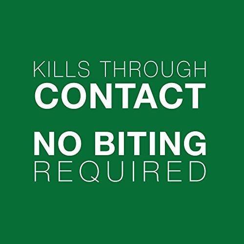 Bayer Advantage II Topical Flea Treatment Dogs