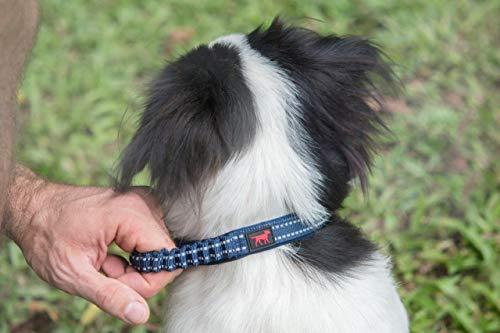 Heavy Duty Dog Collar With Handle | Ballistic Nylon Heavy Duty Collar | Padded Reflective Dog Collar With Adjustable Stainless Steel Hardware | Convenient Sizing for All Breeds