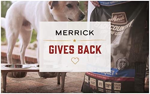 Merrick Grain Free Dry Dog Food Recipes