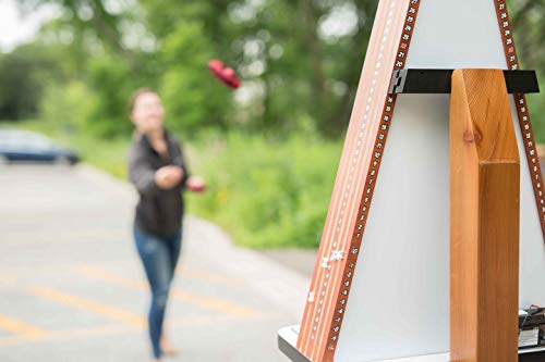 A-Holes Bean Bag Toss Game