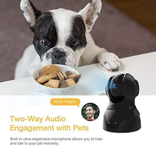 Famisafe Wireless Pet Camera - FHD 1080P Dog Camera 2MP Camera with Pan/Tilt/Zoom, 2-Way Audio, Motion Detection, Night Vision, Remote Monitor for Baby Pet Elder, Work with Alexa (Android/iOS) - Black