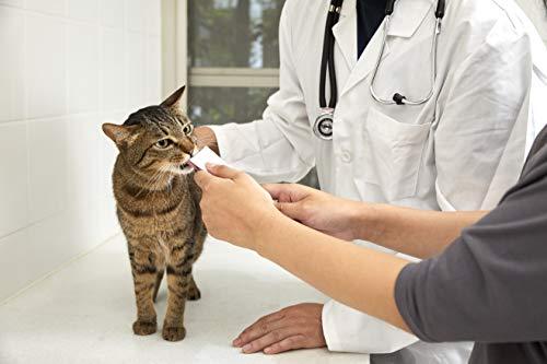 INABA Churu Pops Moist and Chewy Cat Treat Chicken Recipe 4 Tubes