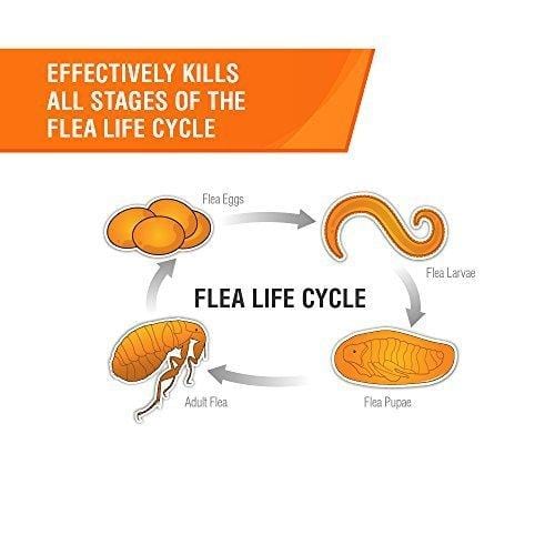 Frontline Plus for Dogs 022 lbs Orange, 3 Month
