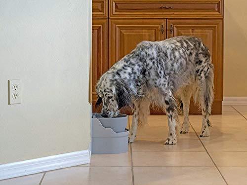 Perpetual Well Automatic Pet Water Bowl - Wall Mount