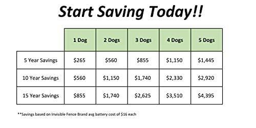 Invisible Fence Brand Collar Compatible, Rechargeable Battery, Two Batteries with Charger