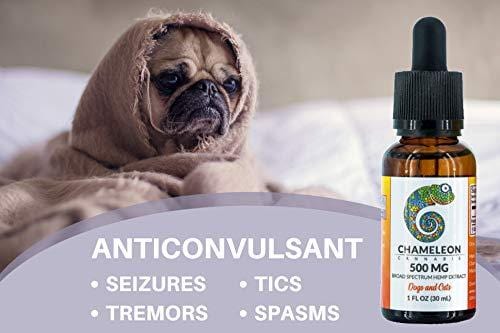 Hemp Extract Oil for Dog and Cats - 500mg - For Separation Anxiety | Pain Relief | Calming | Joint Support | Organic | Non-GMO | Made in the USA - 30mL