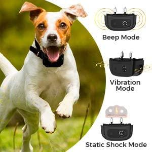 All-New 2019 Dog Training Collar with Remote | Long Range 1600', Shock, Vibration Control, Rechargeable & Ipx7 Waterproof | E-Collar Shock Collar for Dogs Small, Medium, Large Size, All Breeds