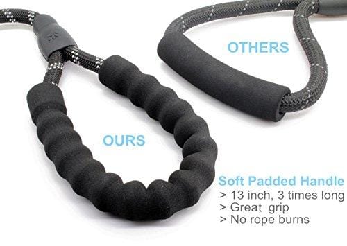 BAAPET 5 FT Strong Dog Leash with Comfortable Padded Handle and Highly Reflective Threads for Medium and Large Dogs (Black)
