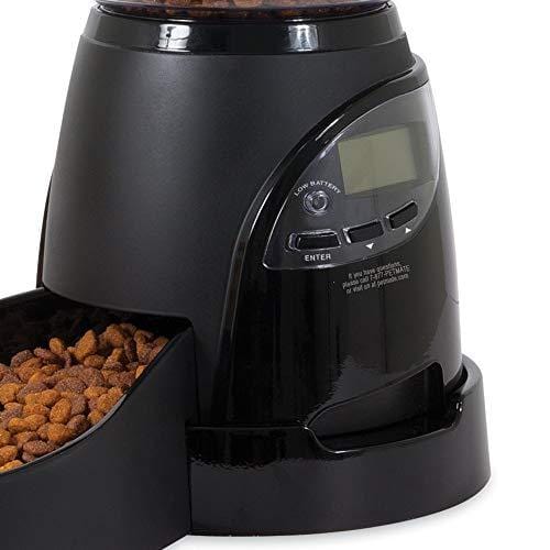 Aspen Pet Lebistro Programmable Cat and Dog Feeder 2 Sizes Black
