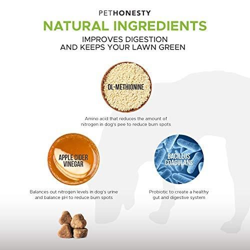PetHonesty GrassGreen Grass Burn Spot Chews for Dogs - Dog Pee Lawn Spot Saver Treatment Caused by Dog Urine - Cranberry, Apple Cider Vinegar, DL-Methionine Grass Treatment Rocks - 90 Chew Treats
