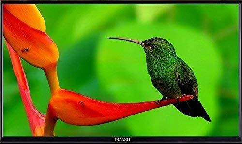 Free Signal TV Transit 32" 12 Volt DC Powered LED Flat Screen HDTV for RV Camper and Mobile Use