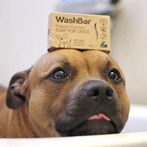 WashBar Natural Dog Shampoo - Twin Pack 100% Natural Soap Bar for Dry, Itchy or Sensitive Skin Grooming Made Easy with No Harsh Chemicals