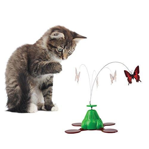 Pet Zone Fly by Spinner, Green