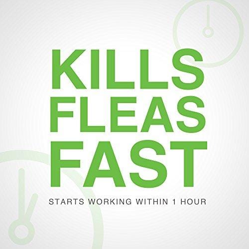 Bayer Animal Health Advantus, Large Dogs 23 - 110 lbs, Soft Chew Flea Treatment, Savory Meat Flavored, Same-As-Vet, 30 daily doses, White/Green - 85274422