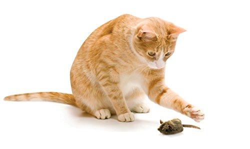 OurPets Play-N-Squeak MouseHunter Squeaking Interactive Cat Toy