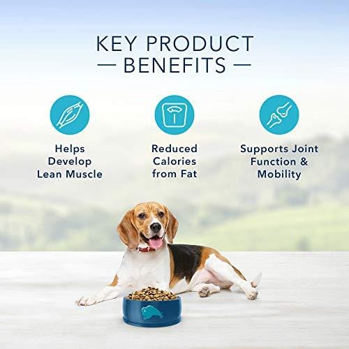Blue Buffalo Life Protection Formula Healthy Weight Dog Food – Natural Dry Dog Food for Adult Dogs – Chicken and Brown Rice – 30 lb. Bag