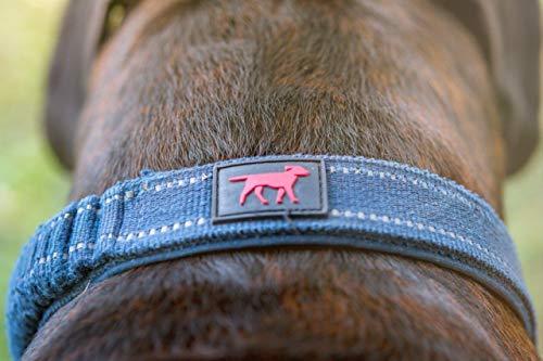 Heavy Duty Dog Collar With Handle | Ballistic Nylon Heavy Duty Collar | Padded Reflective Dog Collar With Adjustable Stainless Steel Hardware | Convenient Sizing for All Breeds