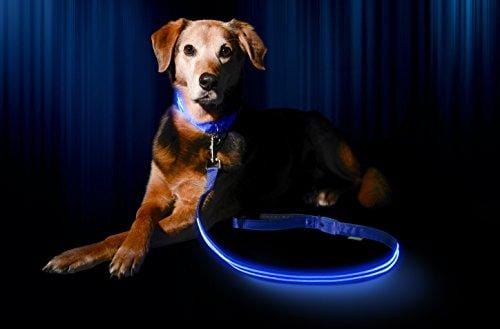 LED Dog Collar - USB Rechargeable - Available in 6 Colors & 6 Sizes - Makes Your Dog Visible, Safe & Seen