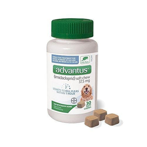 Bayer Animal Health Advantus, Large Dogs 23 - 110 lbs, Soft Chew Flea Treatment, Savory Meat Flavored, Same-As-Vet, 30 daily doses, White/Green - 85274422