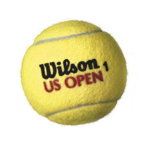 Wilson US Open Regular Duty Tennis Ball (3 Ball Can)
