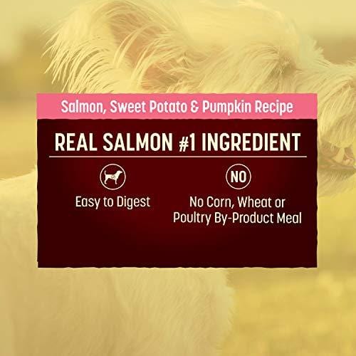 Nature's Recipe Grain Free Easy To Digest Dry Dog Food, Salmon, Sweet Potato & Pumpkin Recipe, 24 lb