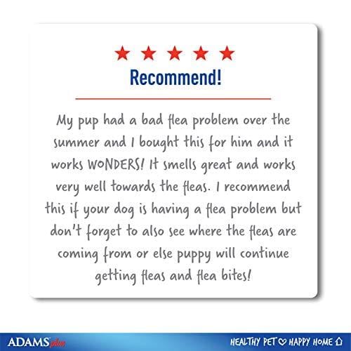 Adams Plus Flea and Tick Shampoo with Precor, 12 Ounce