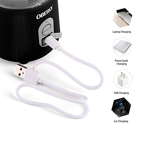 Portable Blender, OBERLY Personal Juicer Cup for Shakes and Smoothies - Six Blades in 3D, 13oz Fruit Mixing Machine with 4000mAh USB Rechargeable Batteries, Ice Tray, Detachable Cup, Perfect Blender for Travel, Outdoor